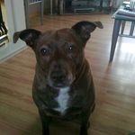 Wallace Thomson - @wallace.thomson.5 - Instagram
