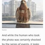 Wallace Thornton - @rmrd1954 - Instagram
