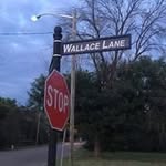 Wallace-Thornton Recee - @receewallacethornton - Instagram