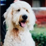 Wallace Turner Trammell - @wallace.dood - Instagram