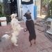 Wallace Vaughn - Facebook