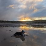 Wallace Monk Walsh - @wadoosh23 - Instagram