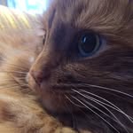 Wallace Waters - @wallace.waters - Instagram