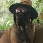 Walter Wallace waters - @sirwalter_xo - Instagram