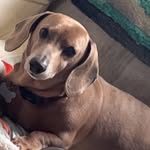 Walter Winston Wallace Waters - @wwwalterwinston - Instagram