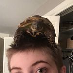 Baby Wallace Webb - @babywallacewebb - Instagram