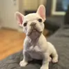 Mia_Wallace_Webb - @scotwebb7 - TikTok