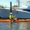 Wallace Whitaker - @wallace.whitaker - TikTok