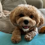 Walter William Wallace White - @walter_william_wallace_white - Instagram