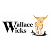 Wallace.Wicks - @wallace.wicks - TikTok