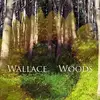 Wallace Woods - @wallacewoodsband - TikTok