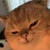 W²² - @wallaceyee - TikTok