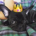Wallace Yeezus Hadelman - @wallaceyeezus - Instagram