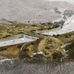 Wallis Annenberg Wildlife Crossing - Facebook