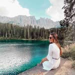 Wallis - @wallislambbus - Instagram