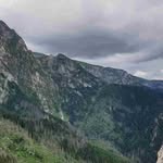 Wallis - @wallisturner.3.f - Instagram