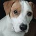 Willis Turner - Facebook