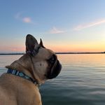Wally Balls - @wallykaliher - Instagram