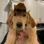 Walter - @wally_ballss - Instagram
