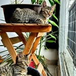 Barry And Wally - @_barryywally_ - Instagram
