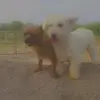 Elisa Bernal Salinas - @wally_barry - TikTok