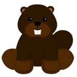 Wally The Beaver - @wally_the_beaver - Instagram
