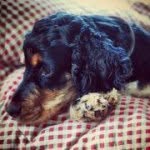 Wally Bell - @wallybellsphotos - Instagram
