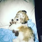 Wally Bell - @wally_2701 - Instagram
