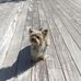 Wally Bell - Facebook