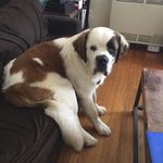 Wally Bernard - @saintwallyworld - Instagram