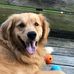 Wally Bishop - Facebook