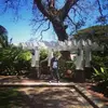wallysterrbosch - @wallysterrbosch - TikTok