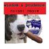 Swally Butler - Facebook
