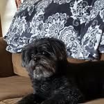 Wally Butler - @wallybutler1gmail.com4 - Instagram