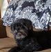 Wally Butler - Facebook