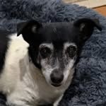 Wally Butler - @wallycbird - Instagram