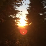 Wally Carpenter - @yepthatsnotme - Instagram