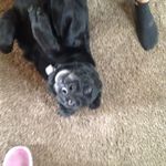 Carson_wally - @carson_wally_ - Instagram