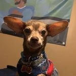 Will - @wally_chase - Instagram