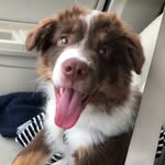 Wally:Chin:Elizabeth - @weareaurum - Instagram