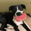 wally.cleaver - @wally.cleaver - TikTok