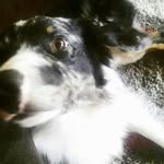 wally cooper - @wally_c_16 - Instagram