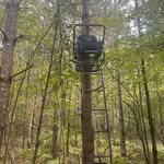 Wally Cox - @wally.cox.71 - Instagram