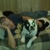 Wally Cox - Facebook