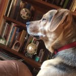 Wally Davis - @wallydavis13 - Instagram
