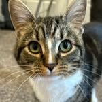 Wally Davis Pulsipher - @whereswally80 - Instagram