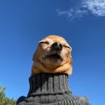 Waldorf “Wally” Day - @wittleworldofwally - Instagram