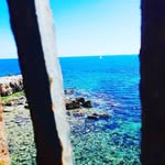 Wally Day - @ribitochizza - Instagram