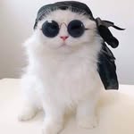 Wally Day - @wally.day.35 - Instagram