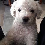 Walter - @wally_escobar - Instagram